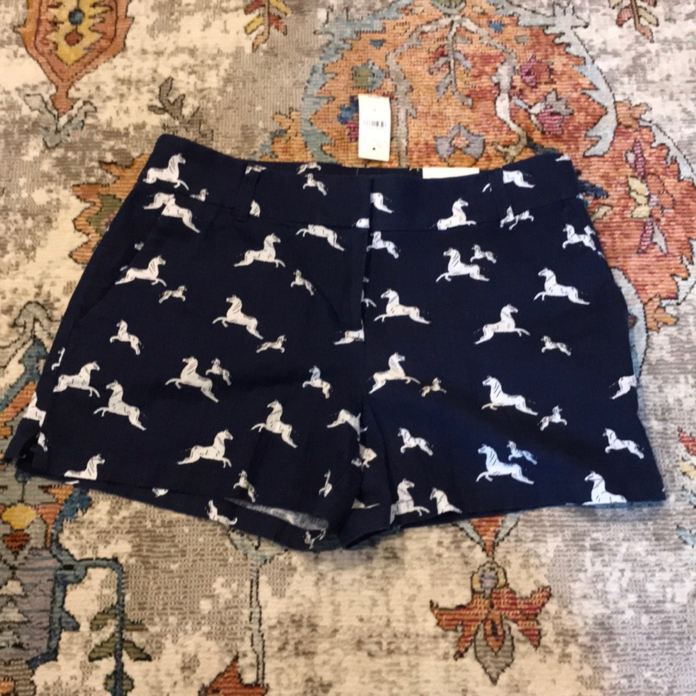 NWT LOFT PONY SHORTS 4